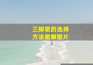 三脚架的选择方法图解图片