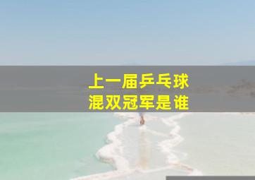 上一届乒乓球混双冠军是谁