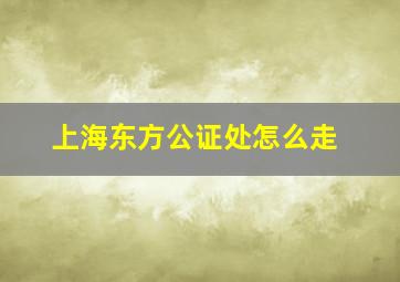 上海东方公证处怎么走