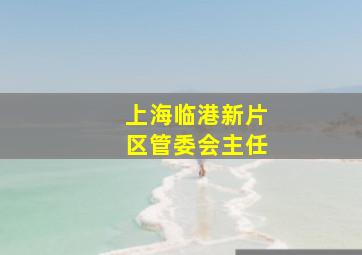 上海临港新片区管委会主任