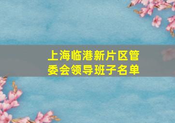 上海临港新片区管委会领导班子名单