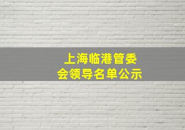 上海临港管委会领导名单公示