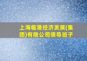 上海临港经济发展(集团)有限公司领导班子