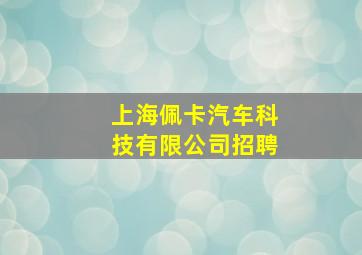 上海佩卡汽车科技有限公司招聘