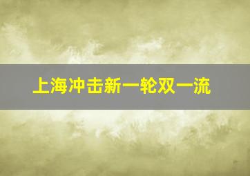 上海冲击新一轮双一流