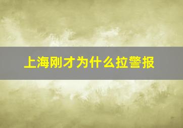 上海刚才为什么拉警报