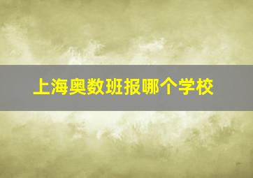 上海奥数班报哪个学校