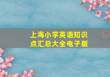 上海小学英语知识点汇总大全电子版