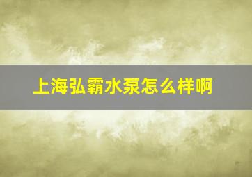 上海弘霸水泵怎么样啊