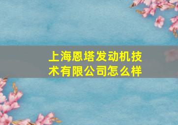 上海恩塔发动机技术有限公司怎么样