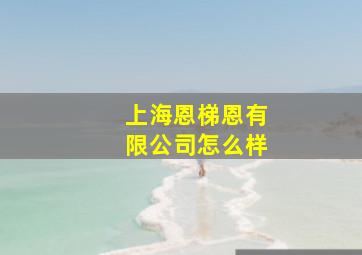 上海恩梯恩有限公司怎么样