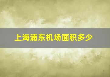 上海浦东机场面积多少