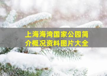 上海海湾国家公园简介概况资料图片大全