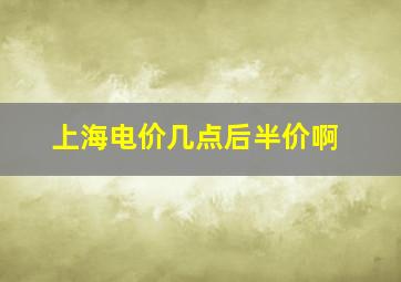 上海电价几点后半价啊