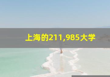 上海的211,985大学