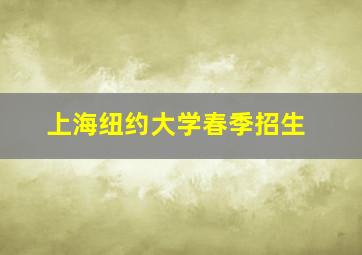 上海纽约大学春季招生