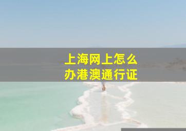 上海网上怎么办港澳通行证