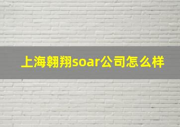 上海翱翔soar公司怎么样