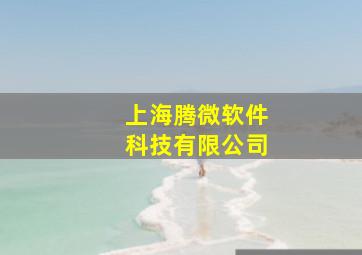 上海腾微软件科技有限公司