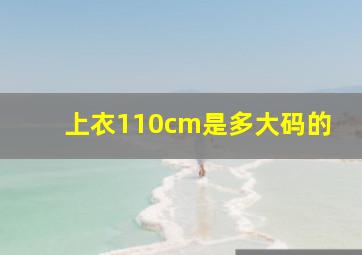 上衣110cm是多大码的