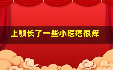 上颚长了一些小疙瘩很痒