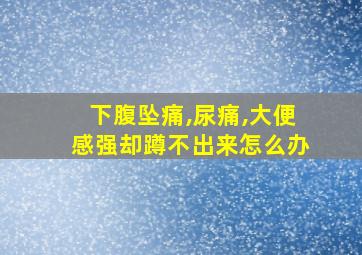 下腹坠痛,尿痛,大便感强却蹲不出来怎么办