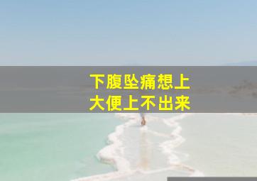 下腹坠痛想上大便上不出来