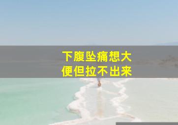 下腹坠痛想大便但拉不出来