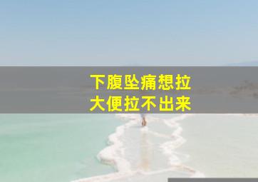 下腹坠痛想拉大便拉不出来