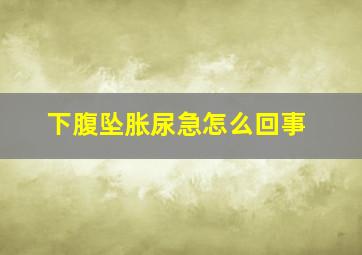 下腹坠胀尿急怎么回事