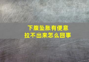 下腹坠胀有便意拉不出来怎么回事