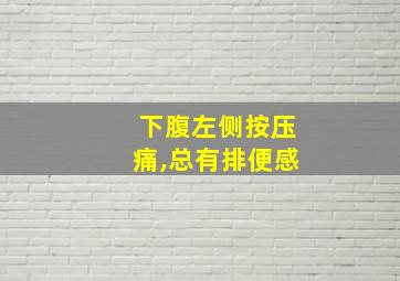 下腹左侧按压痛,总有排便感