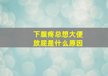 下腹疼总想大便放屁是什么原因