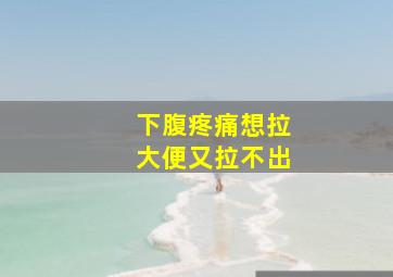 下腹疼痛想拉大便又拉不出