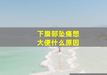 下腹部坠痛想大便什么原因