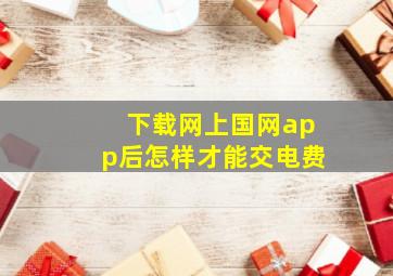 下载网上国网app后怎样才能交电费