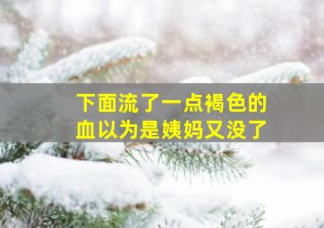 下面流了一点褐色的血以为是姨妈又没了