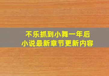 不乐抓到小舞一年后小说最新章节更新内容