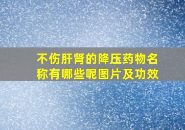 不伤肝肾的降压药物名称有哪些呢图片及功效