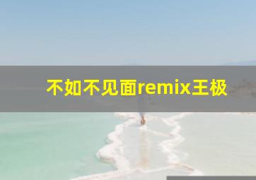 不如不见面remix王极