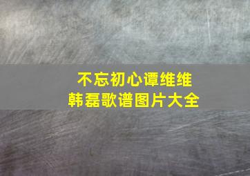 不忘初心谭维维韩磊歌谱图片大全