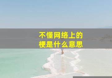 不懂网络上的梗是什么意思