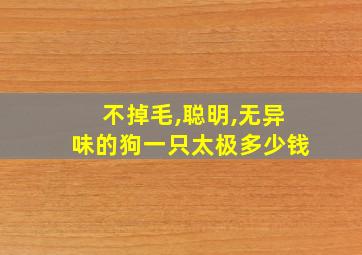 不掉毛,聪明,无异味的狗一只太极多少钱