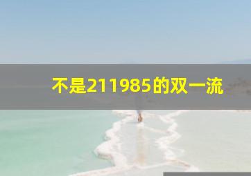 不是211985的双一流