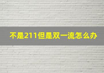 不是211但是双一流怎么办