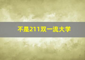 不是211双一流大学