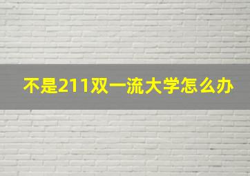 不是211双一流大学怎么办