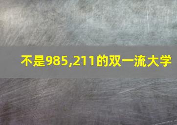 不是985,211的双一流大学