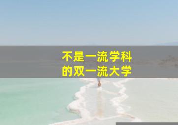 不是一流学科的双一流大学