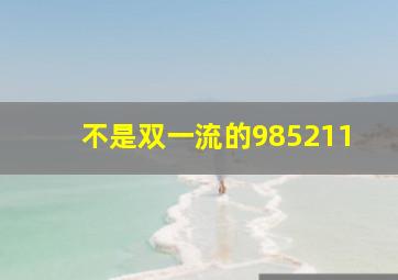 不是双一流的985211